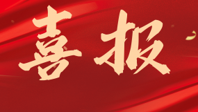  甘肅物流集團新區(qū)路港公司、蘭港投公司榮獲全國4A級陸港企業(yè)